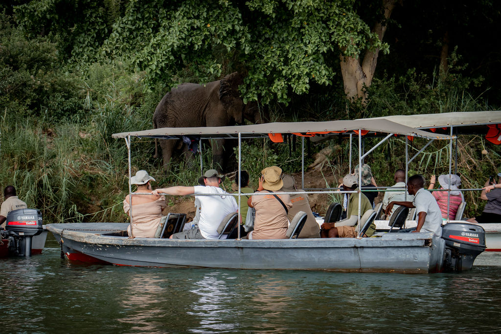 5-Day Mikumi & Selous Safari